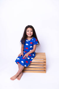 Red and Blue Buffalo Dress