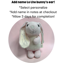 Load image into Gallery viewer, Organic Stuffed Bunnies