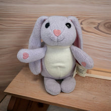 Load image into Gallery viewer, Fuzzy Bunny(Organic Stuffed Bunnies)