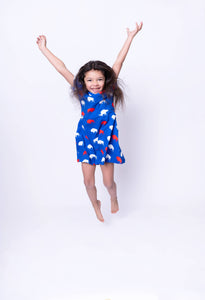 Red and Blue Buffalo Dress